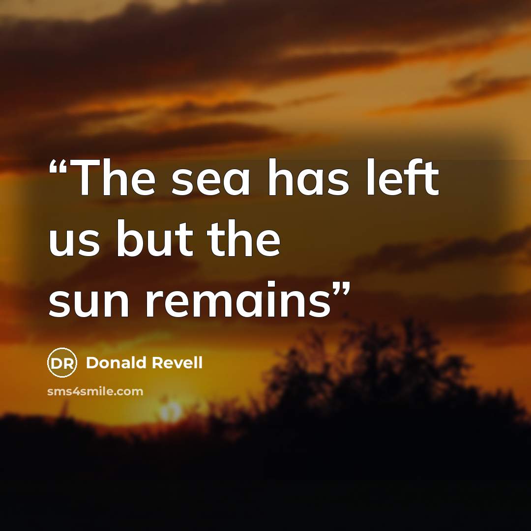 “The sea has left us but the sun remains” quote by Donald Revell