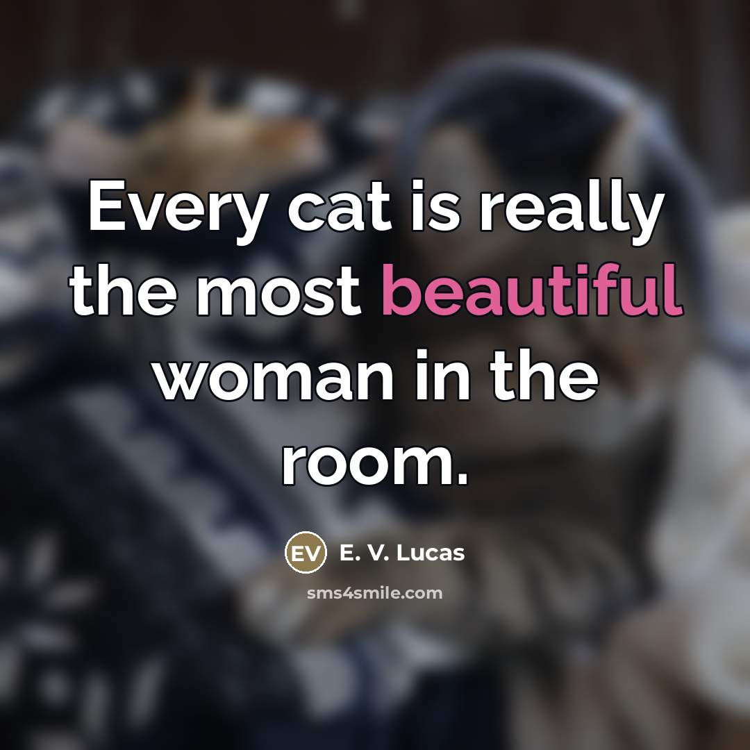 “Every cat is really the most beautiful woman in the…” quote by E. V. Lucas