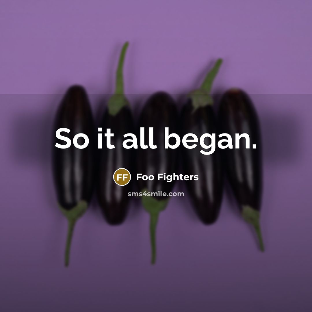 “So it all began.” quote by Foo Fighters