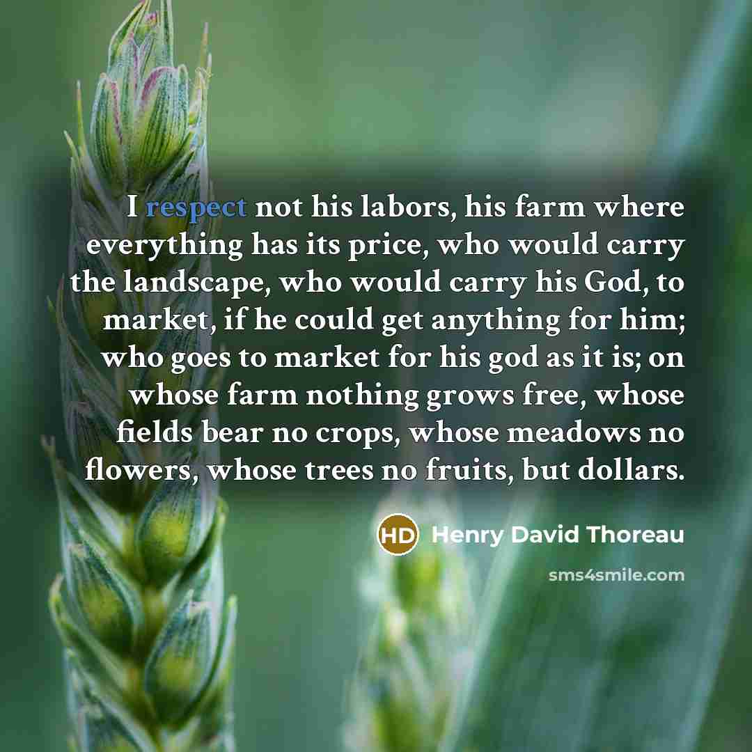 “I respect not his labors, his farm where everything has…” quote by Henry David Thoreau