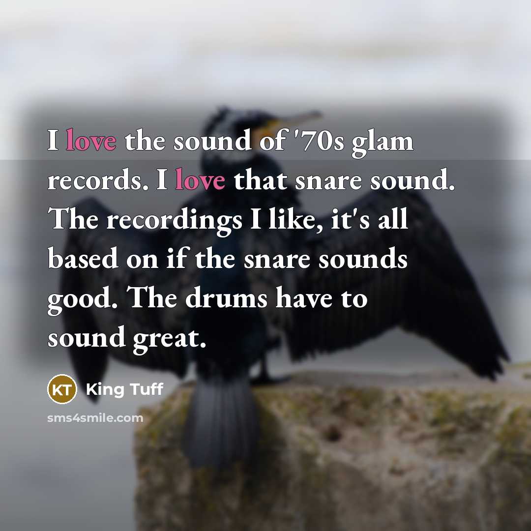“I love the sound of '70s glam records. I love…” quote by King Tuff