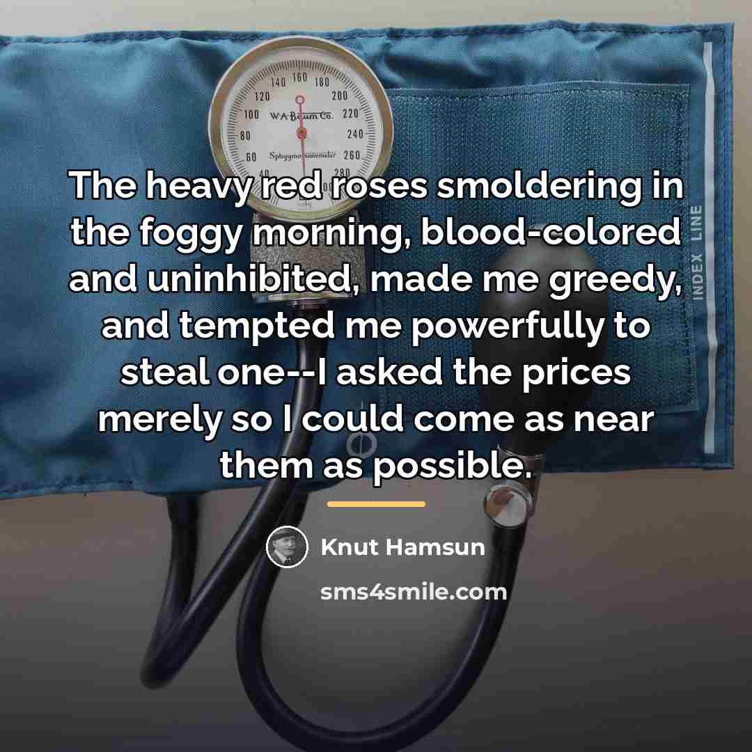 “The heavy red roses smoldering in the foggy morning, blood-colored…” quote by Knut Hamsun