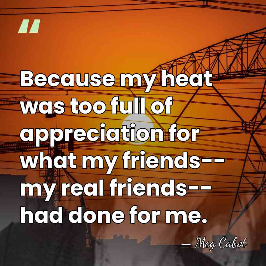 Because my heat was too full of appreciation for what my friends--&hellip; - Meg Cabot