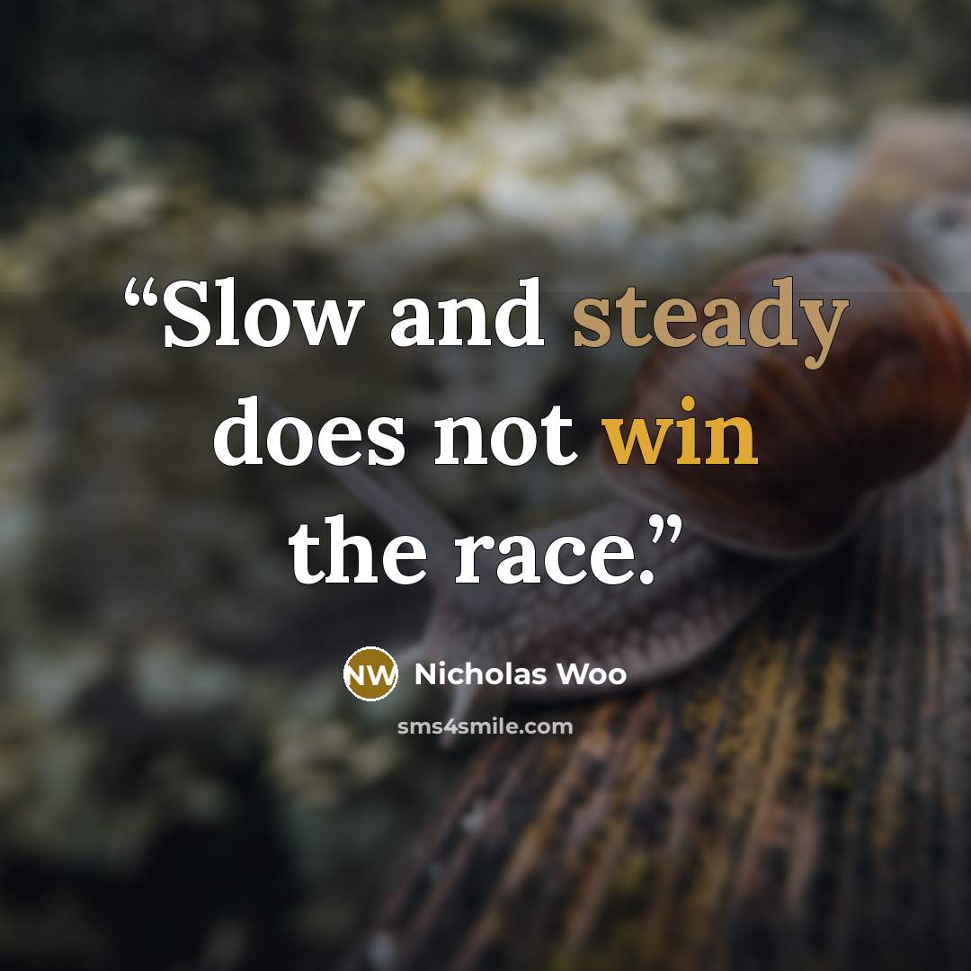 “Slow and steady does not win the race.” quote by Nicholas Woo