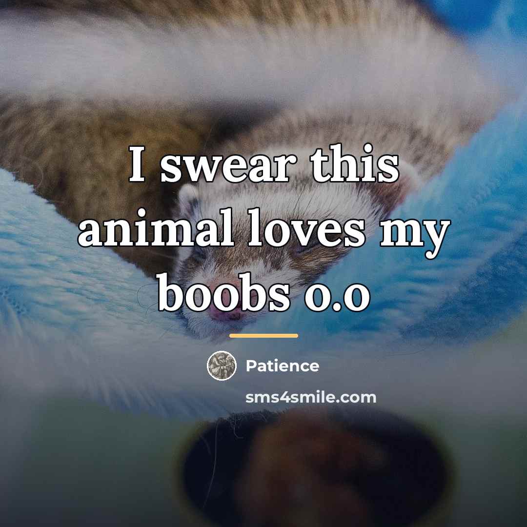 “I swear this animal loves my boobs o.o…” quote by Patience