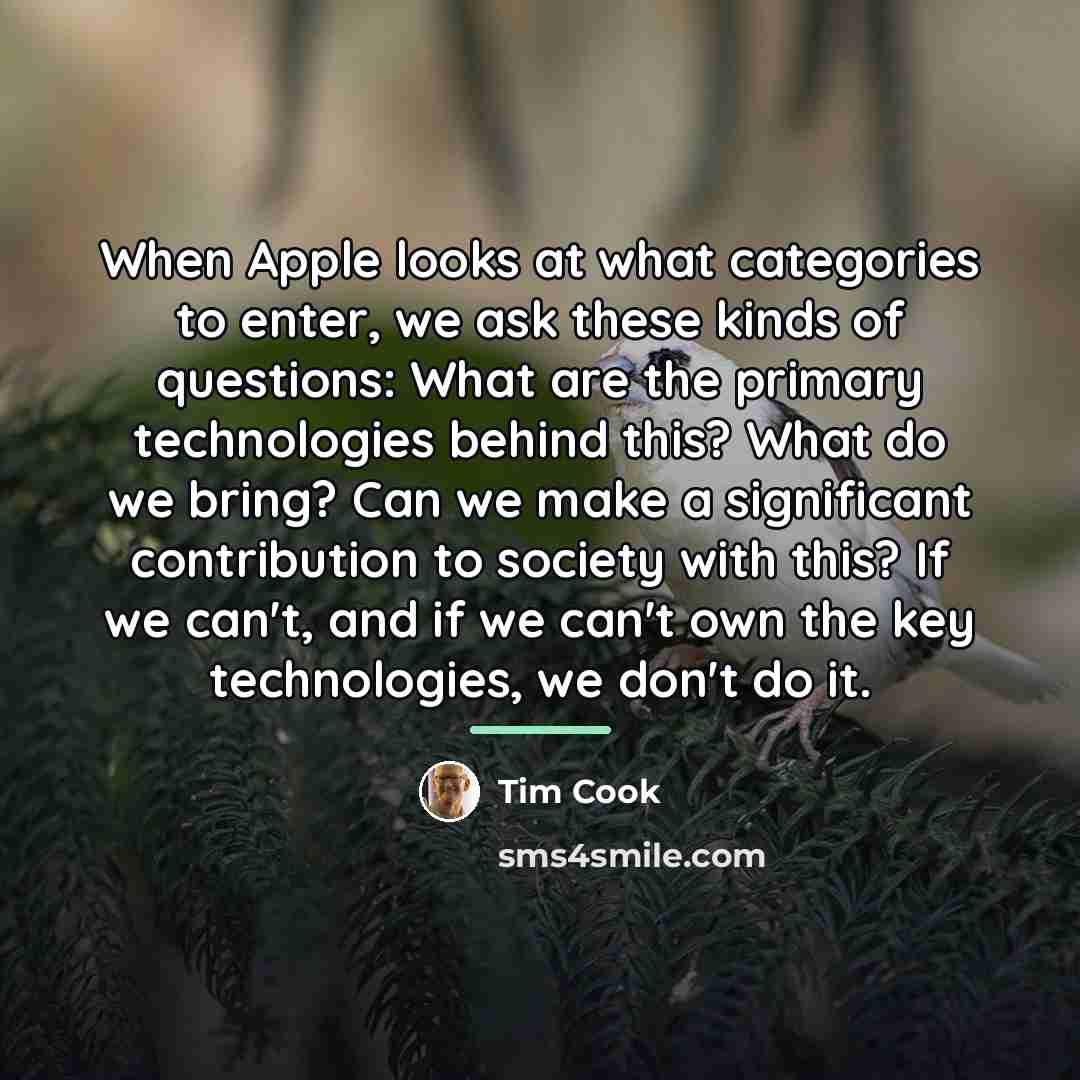 “When Apple looks at what categories to enter, we ask…” quote by Tim Cook