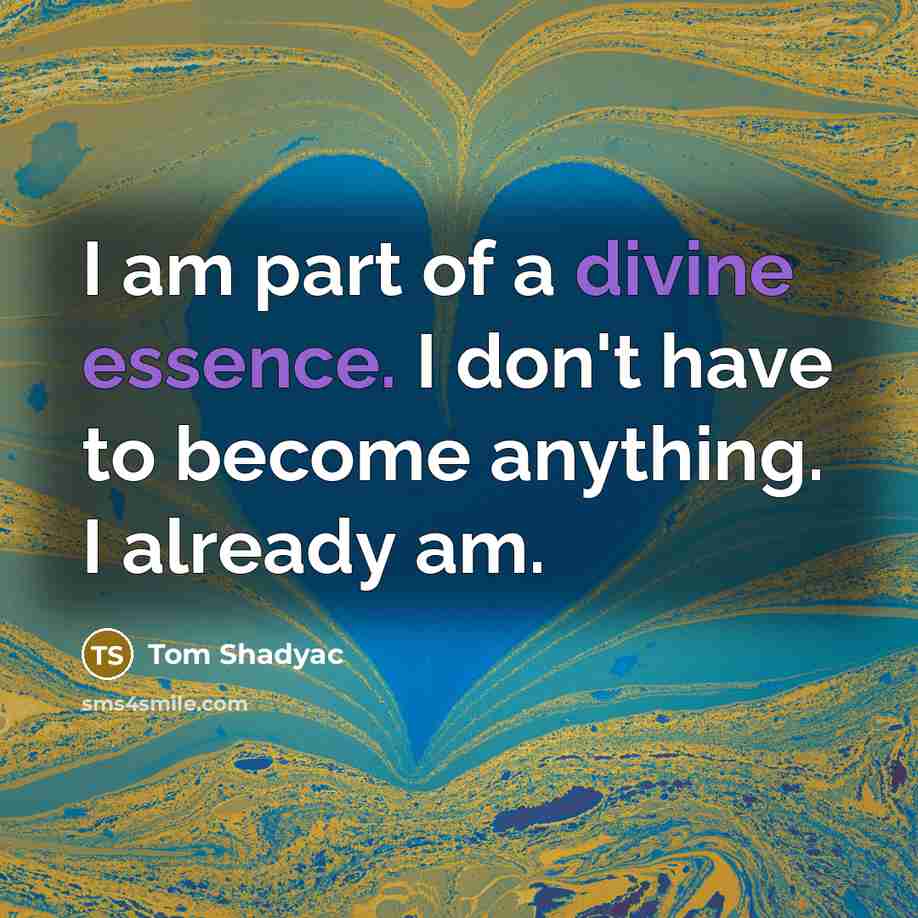 “I am part of a divine essence. I don't have…” quote by Tom Shadyac