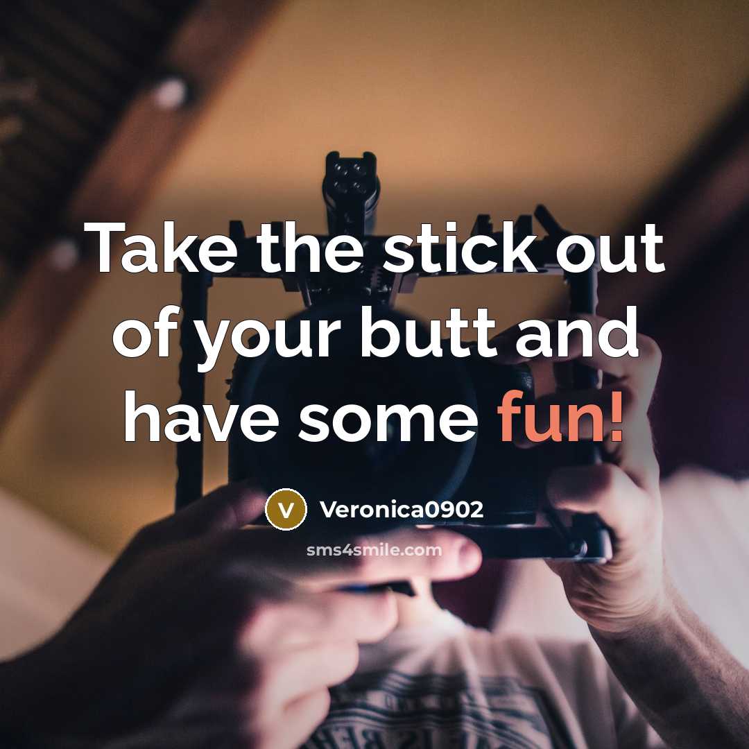 “Take the stick out of your butt and have some fun!” quote by Veronica0902