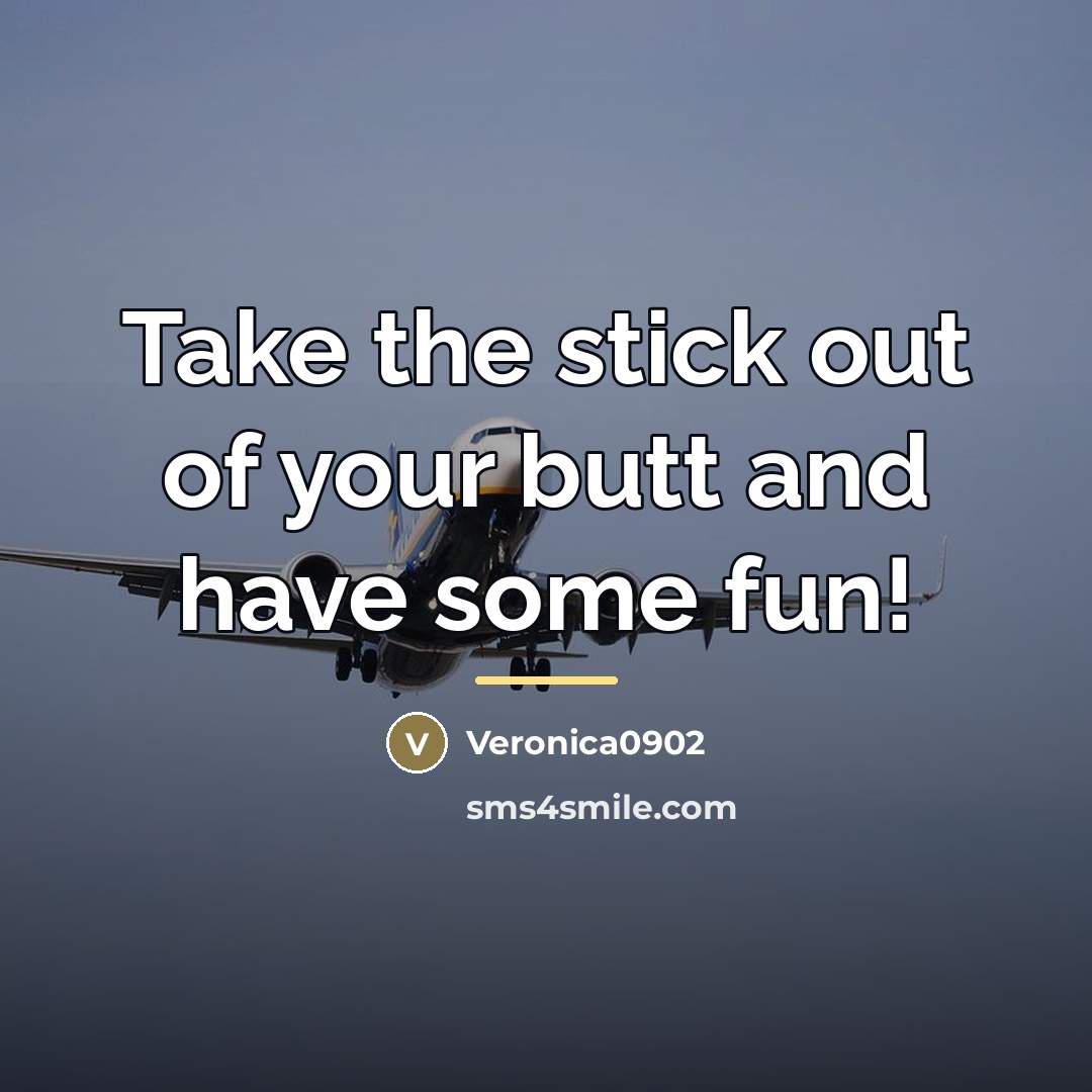 “Take the stick out of your butt and have some…” quote by Veronica0902