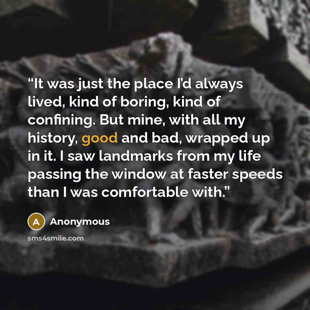 “It was just the place I’d always lived, kind of boring, kind of confining. But mine, with all my history, good and bad, wrapped up in it. I saw landmarks from my life passing the window at faster speeds than I was comfortable with.” quote by Anonymous