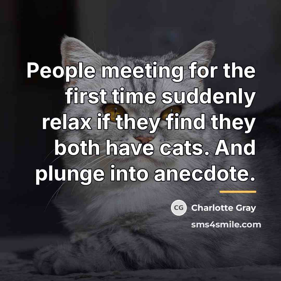 “People meeting for the first time suddenly relax if they…” quote by Charlotte Gray