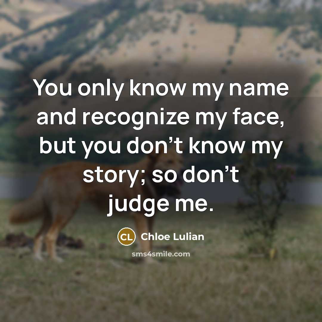 “You only know my name and recognize my face, but you don't know my story; so don't judge me.” quote by Chloe Lulian