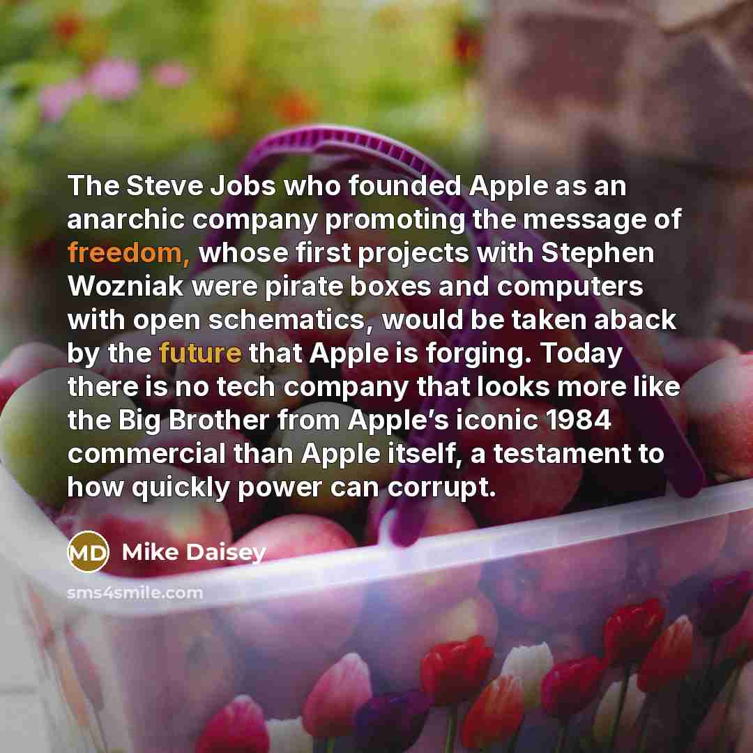 “The Steve Jobs who founded Apple as an anarchic company…” quote by Mike Daisey