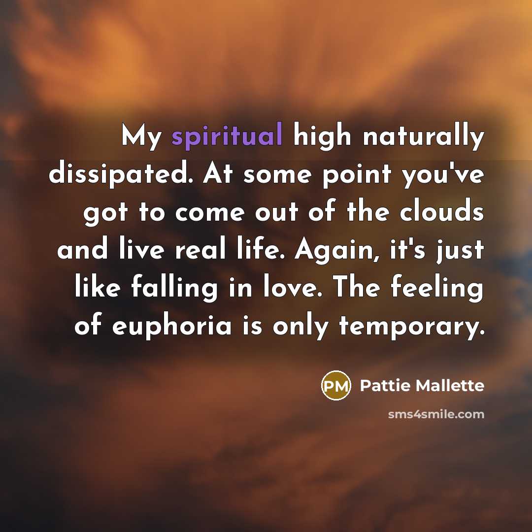 “My spiritual high naturally dissipated. At some point you've got…” quote by Pattie Mallette