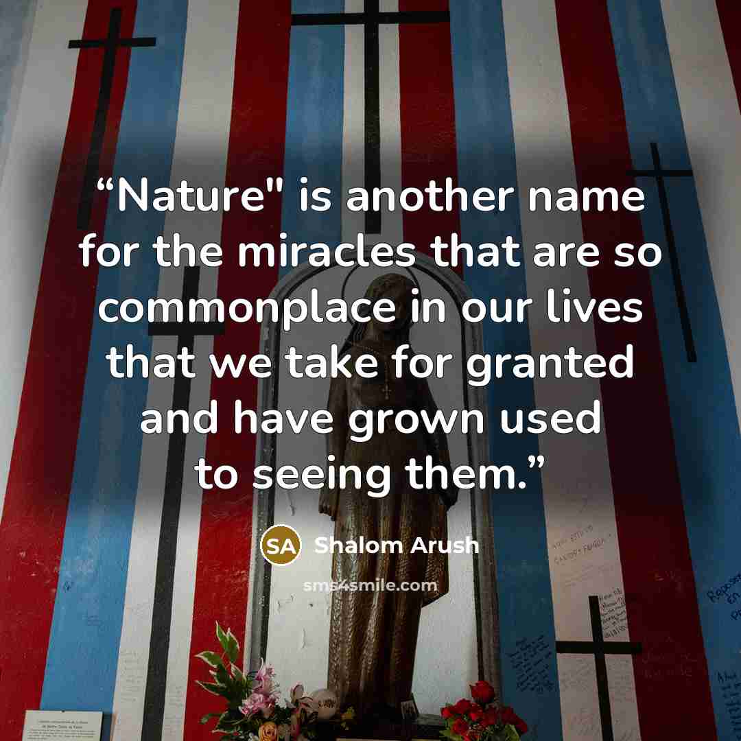 “Nature" is another name for the miracles that are so commonplace in our lives that we take for granted and have grown used to seeing them.” quote by Shalom Arush