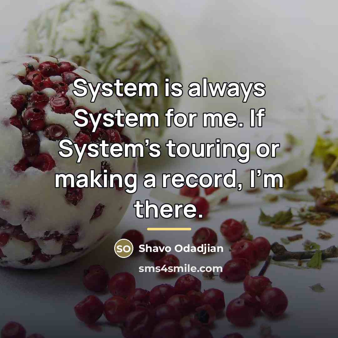 “System is always System for me. If System's touring or…” quote by Shavo Odadjian