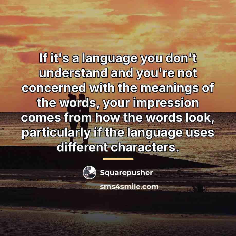 “If it's a language you don't understand and you're not…” quote by Squarepusher
