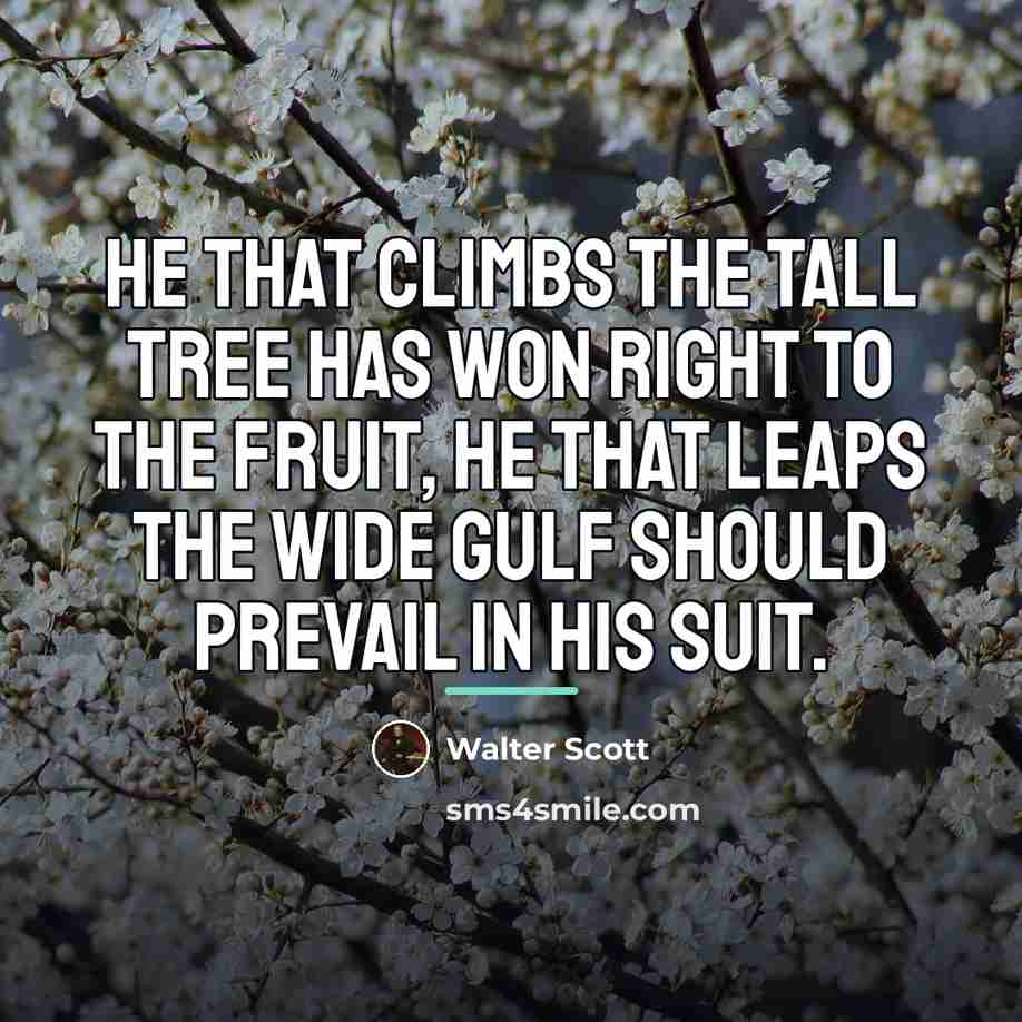 “He that climbs the tall tree has won right to…” quote by Walter Scott