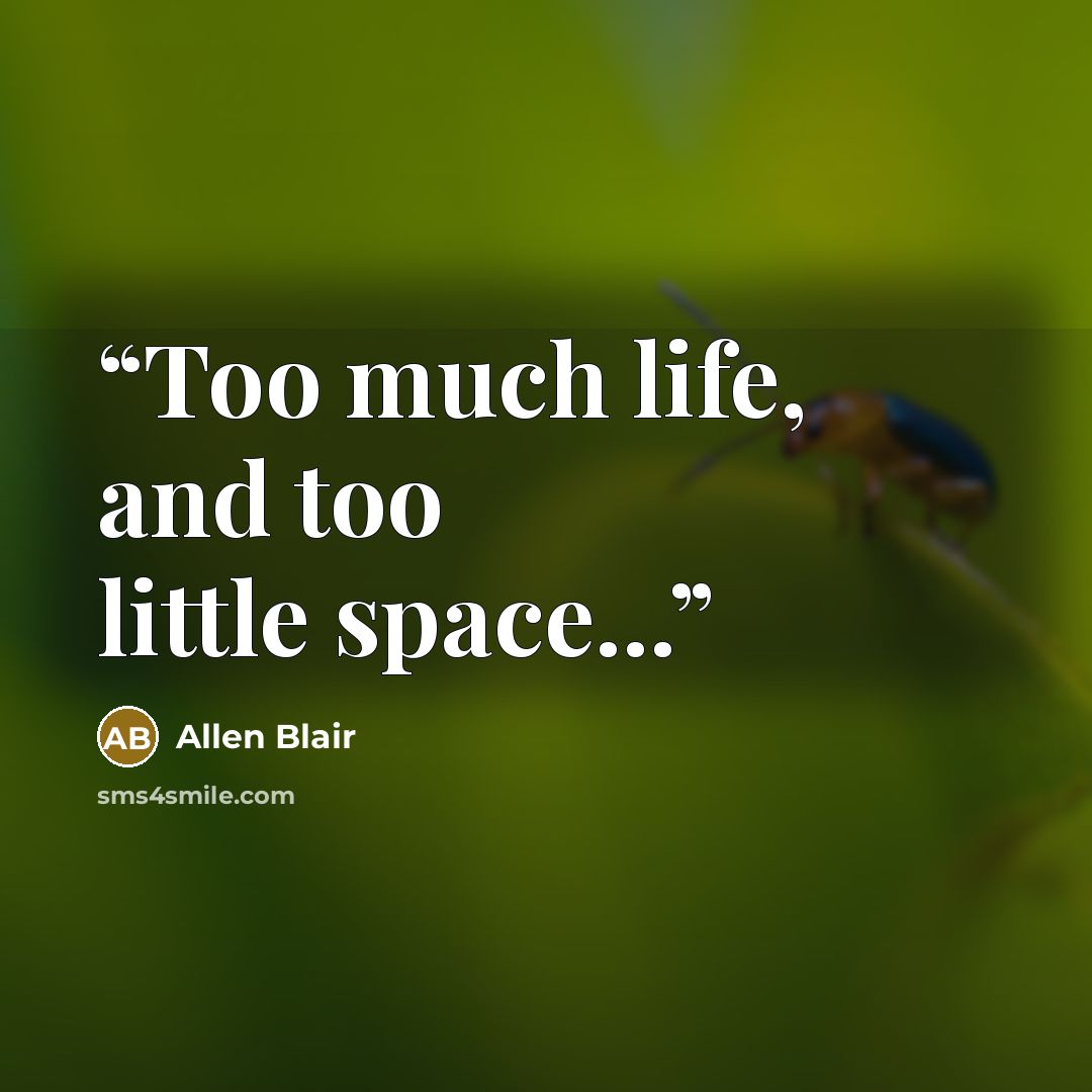 “Too much life, and too little space...” quote by Allen Blair