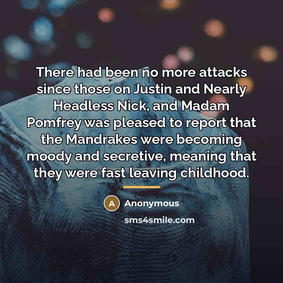 “There had been no more attacks since those on Justin…” quote by Anonymous