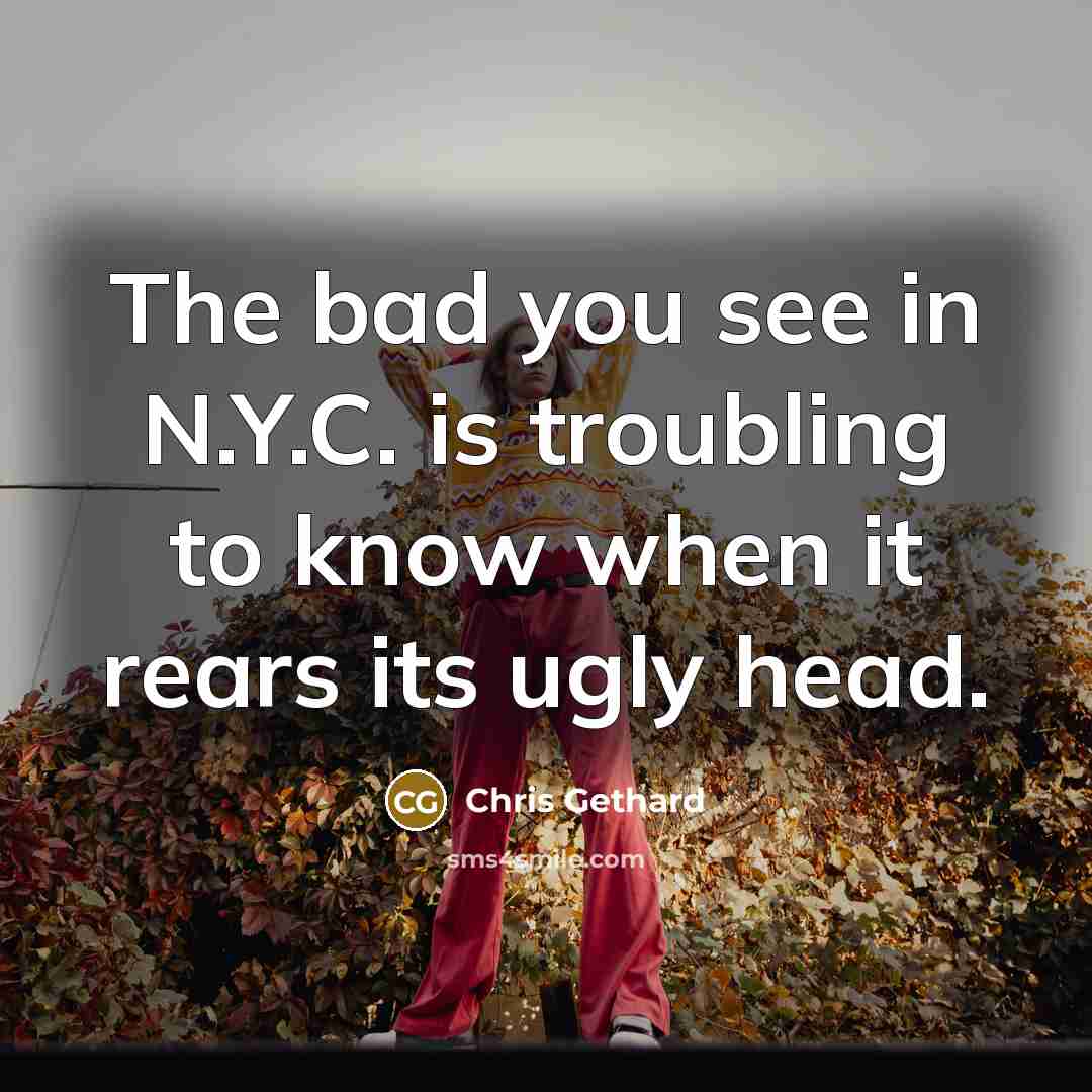 “The bad you see in N.Y.C. is troubling to know…” quote by Chris Gethard