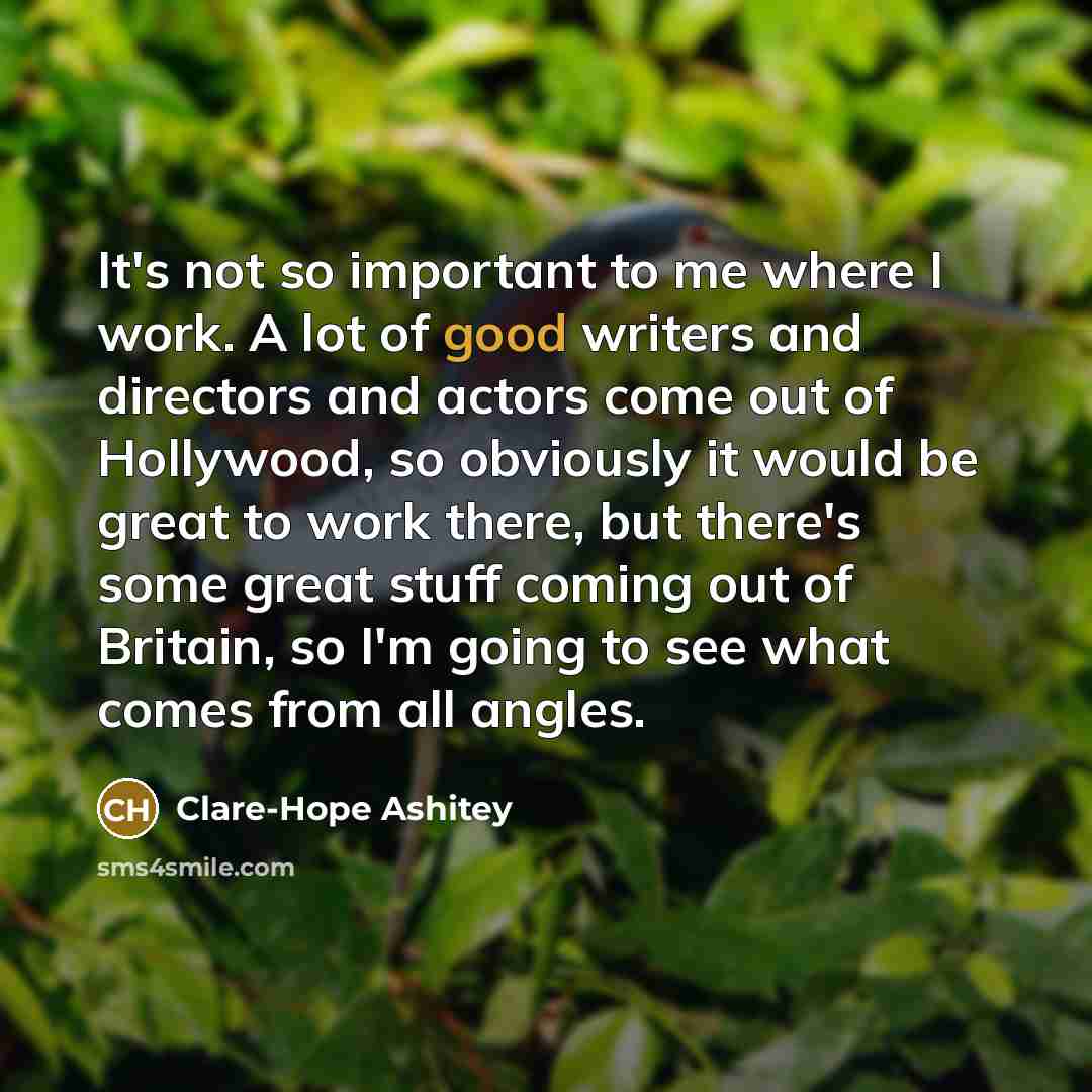 “It's not so important to me where I work. A…” quote by Clare-Hope Ashitey