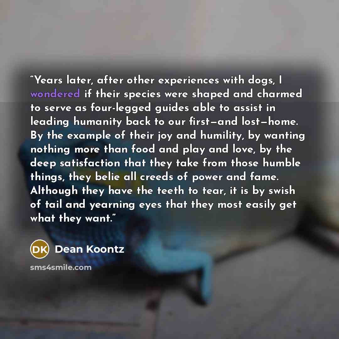 “Years later, after other experiences with dogs, I wondered if their species were shaped and charmed to serve as four-legged guides able to assist in leading humanity back to our first—and lost—home. By the example of their joy and humility, by wanting nothing more than food and play and love, by…” quote by Dean Koontz