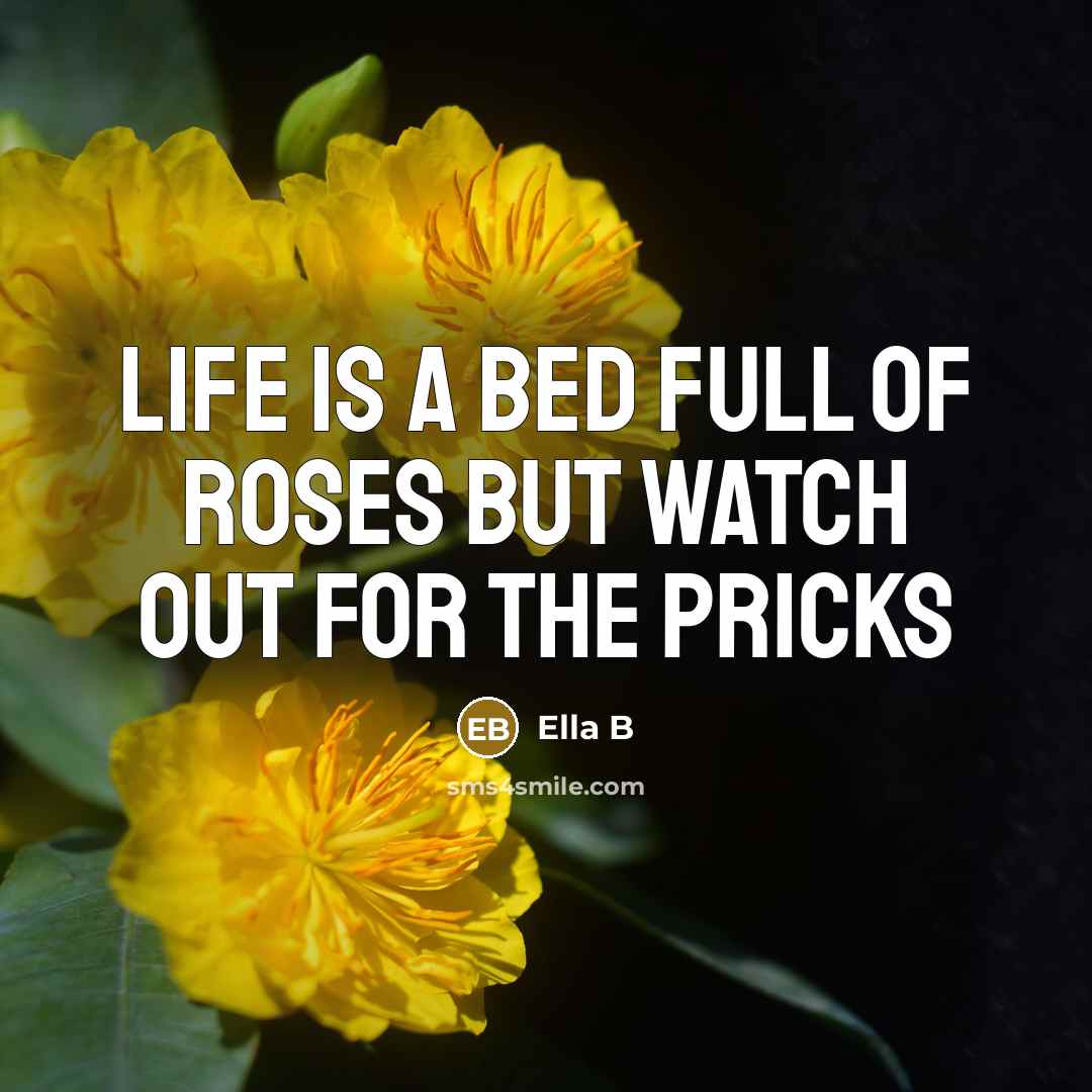 “Life is a bed full of roses but watch out…” quote by Ella B