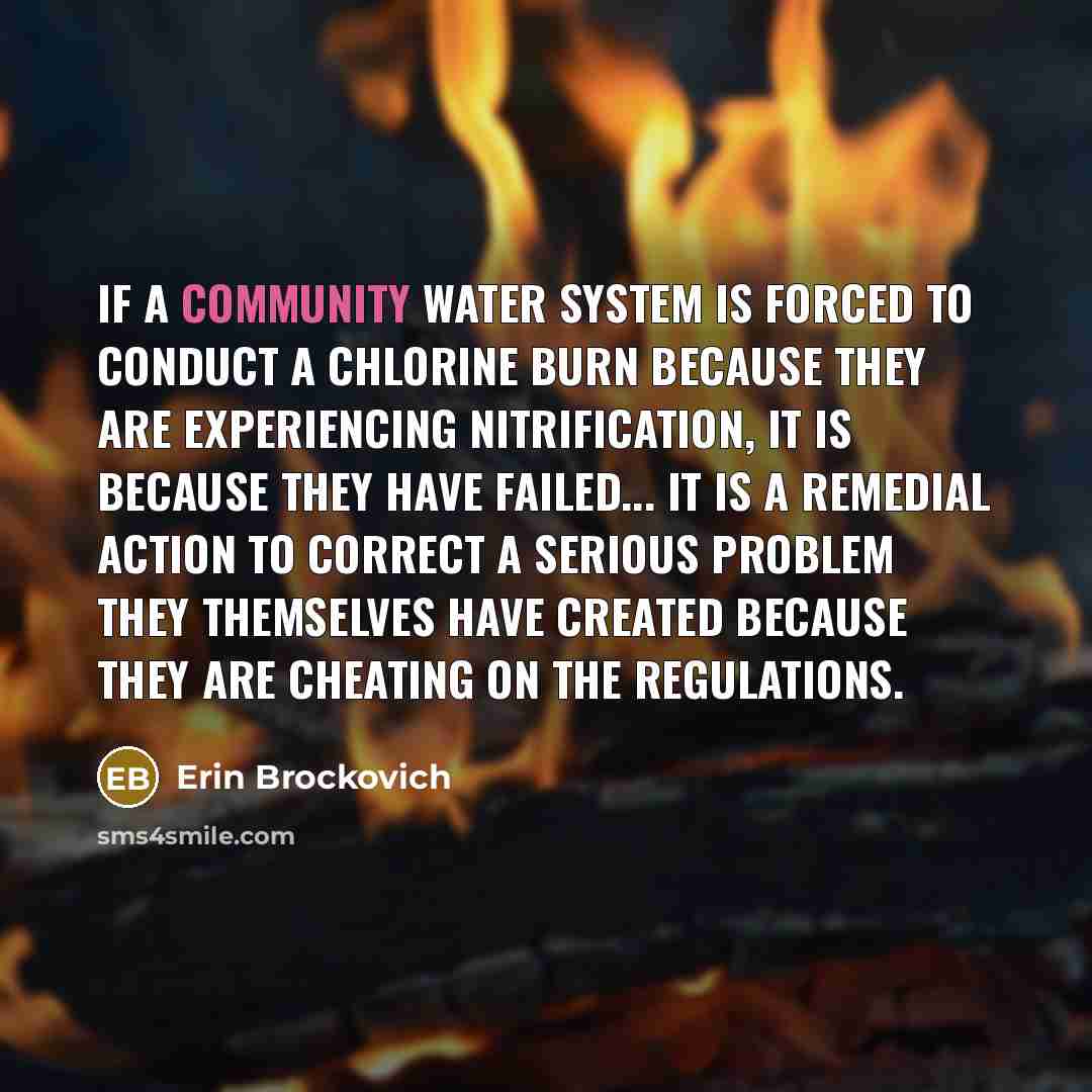 “If a community water system is forced to conduct a…” quote by Erin Brockovich