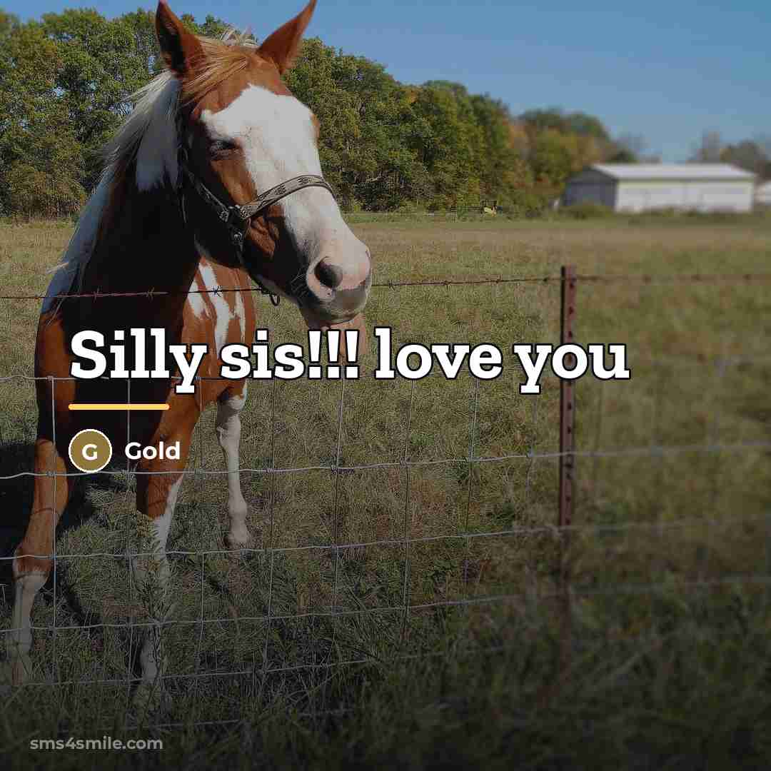 “Silly sis!!! love you…” quote by Gold