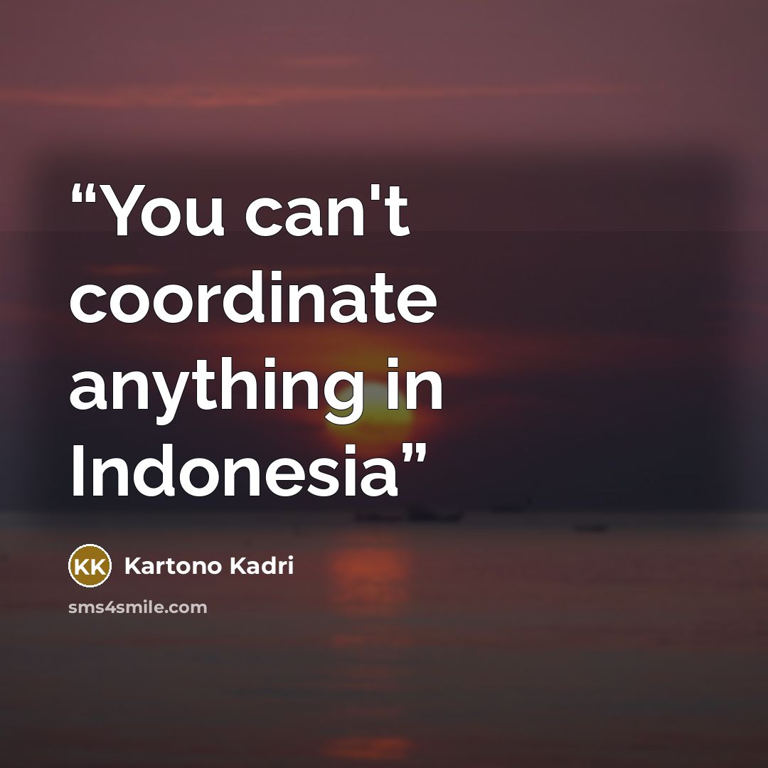 “You can't coordinate anything in Indonesia” quote by Kartono Kadri