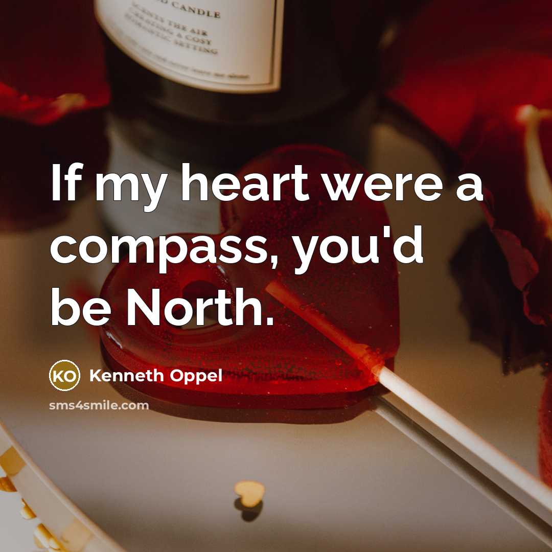 “If my heart were a compass, you'd be North.…” quote by Kenneth Oppel