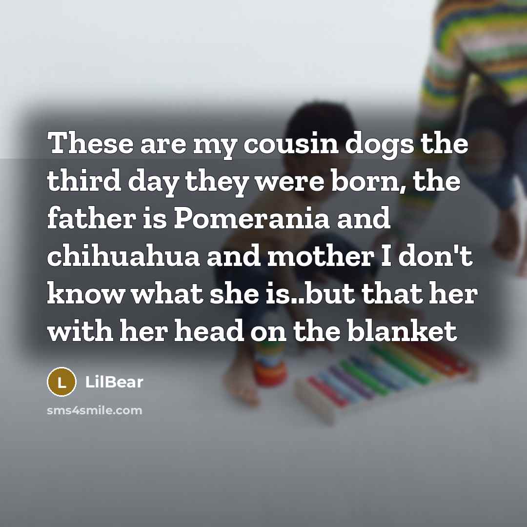 “These are my cousin dogs the third day they were…” quote by LilBear