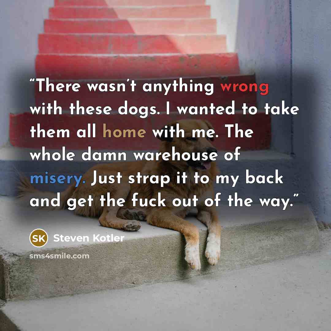 “There wasn’t anything wrong with these dogs. I wanted to take them all home with me. The whole damn warehouse of misery. Just strap it to my back and get the fuck out of the way.” quote by Steven Kotler