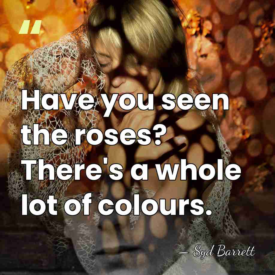 Have you seen the roses? There's a whole lot of colours. - Syd Barrett