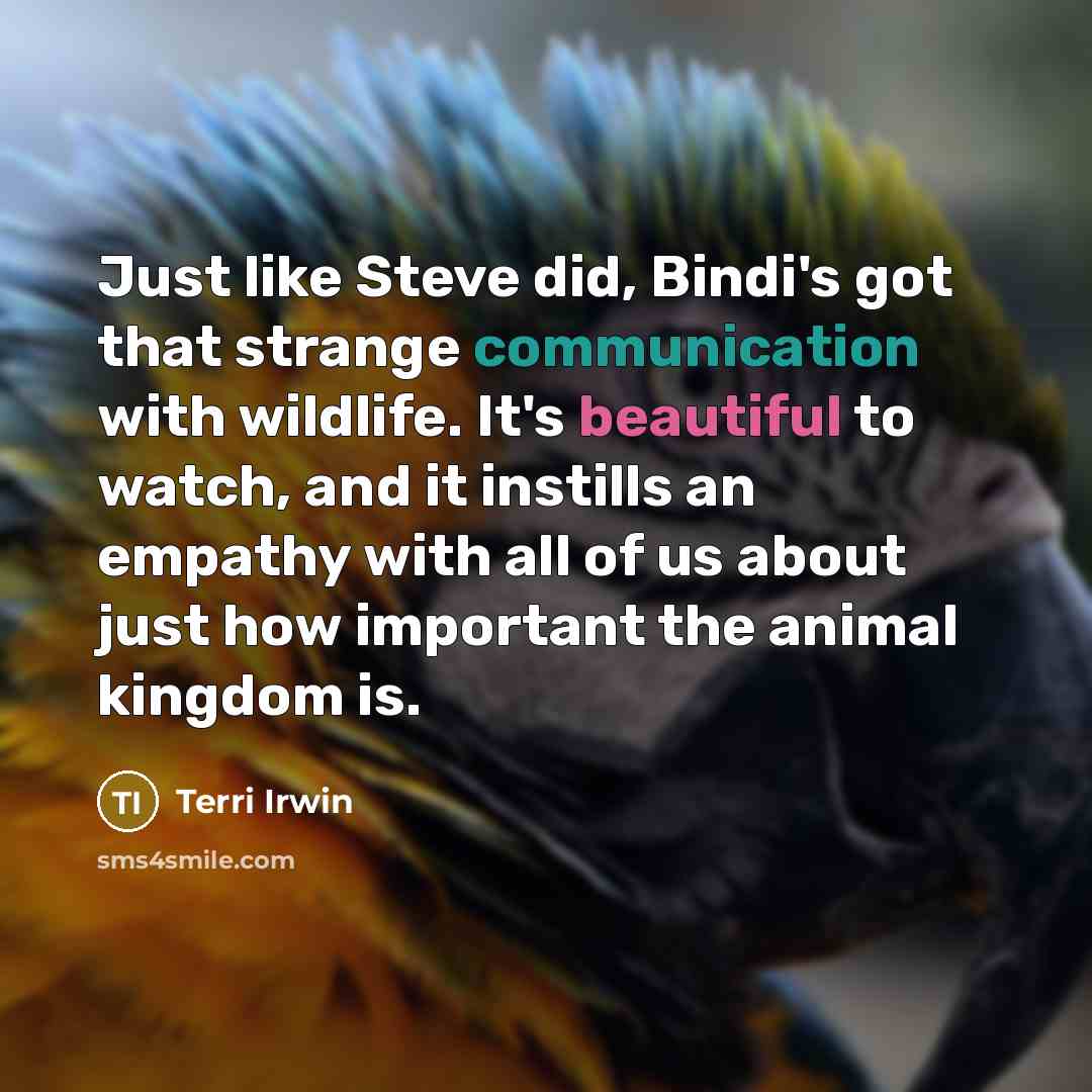 “Just like Steve did, Bindi's got that strange communication with…” quote by Terri Irwin