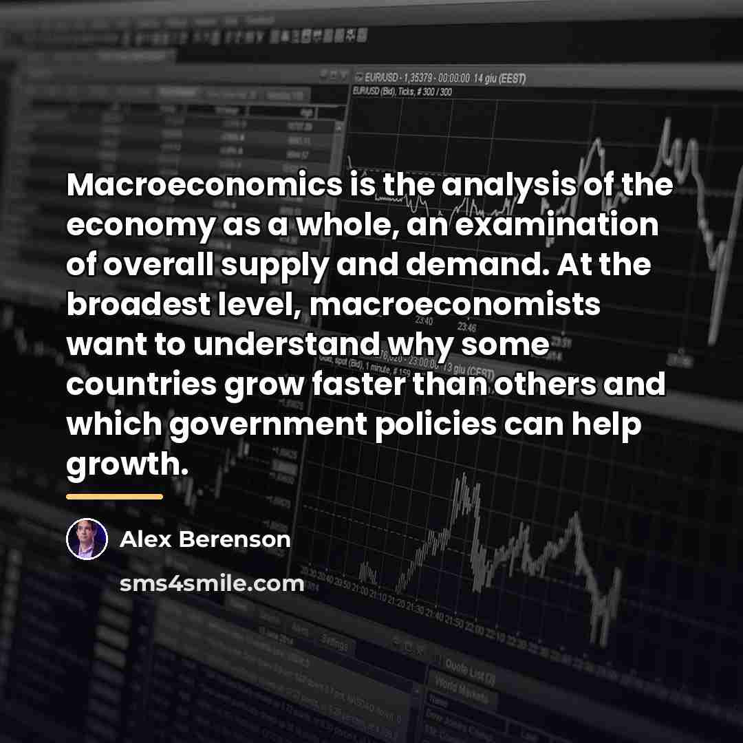 “Macroeconomics is the analysis of the economy as a whole,…” quote by Alex Berenson