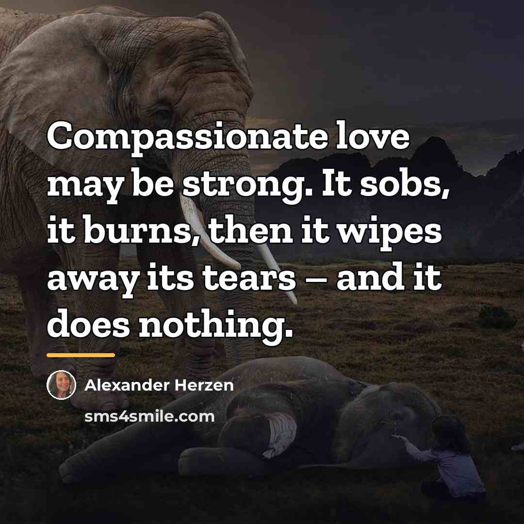 “Compassionate love may be strong. It sobs, it burns, then…” quote by Alexander Herzen