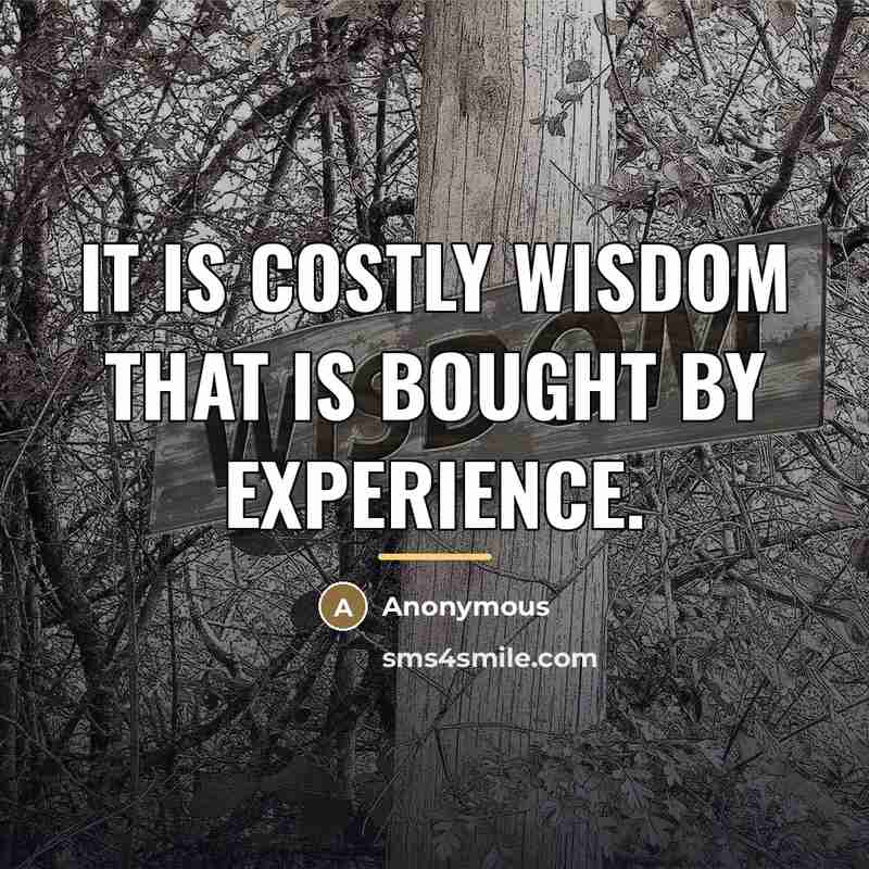 “It is costly wisdom that is bought by experience.…” quote by Anonymous