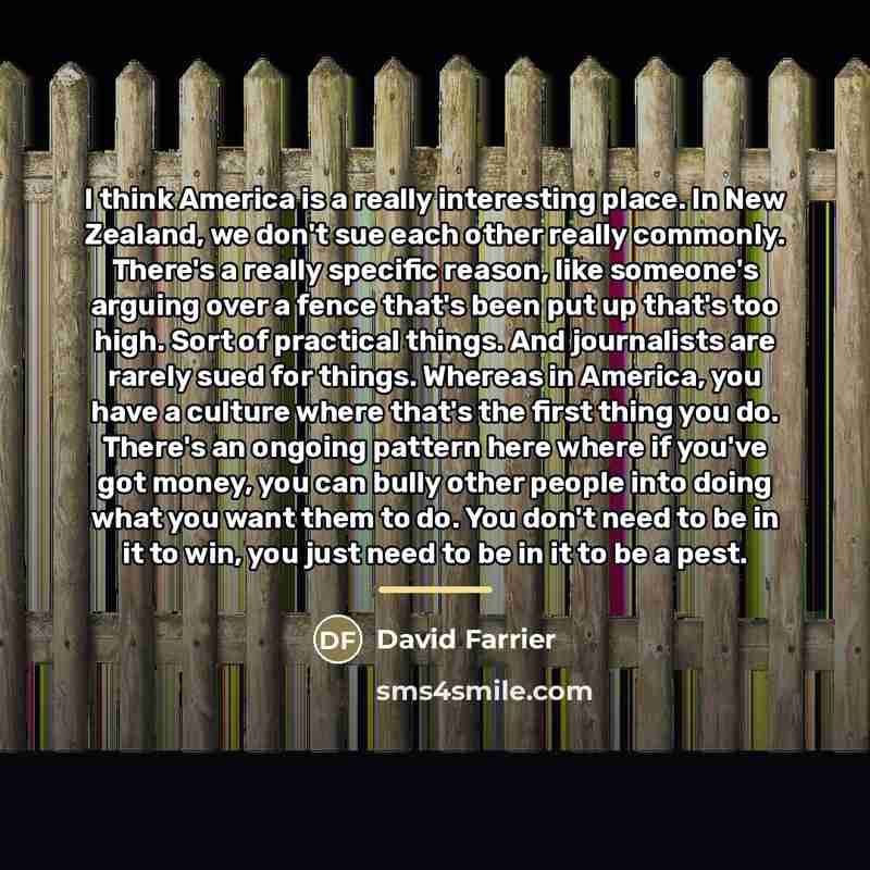 “I think America is a really interesting place. In New…” quote by David Farrier