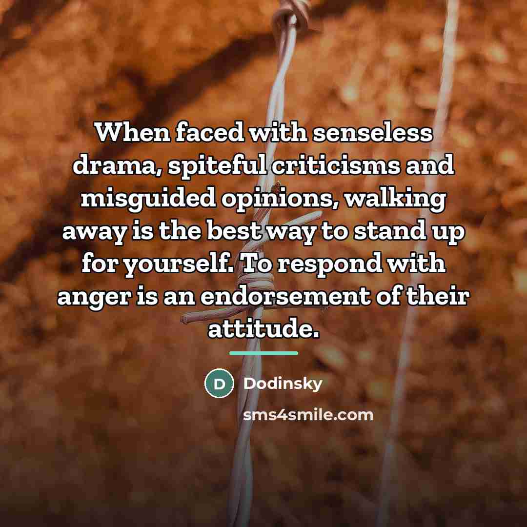 “When faced with senseless drama, spiteful criticisms and misguided opinions,…” quote by Dodinsky