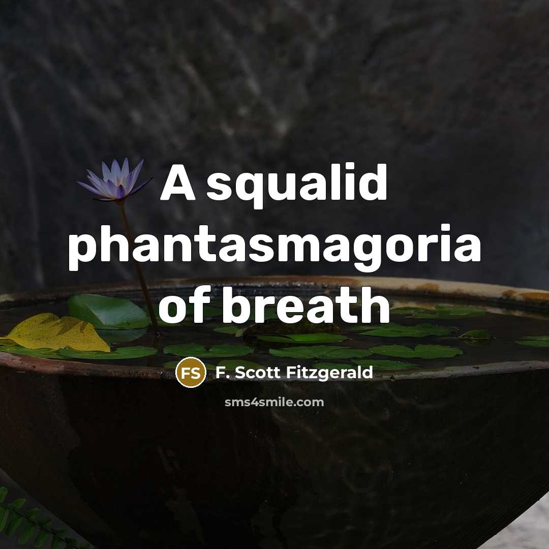 “A squalid phantasmagoria of breath…” quote by F. Scott Fitzgerald