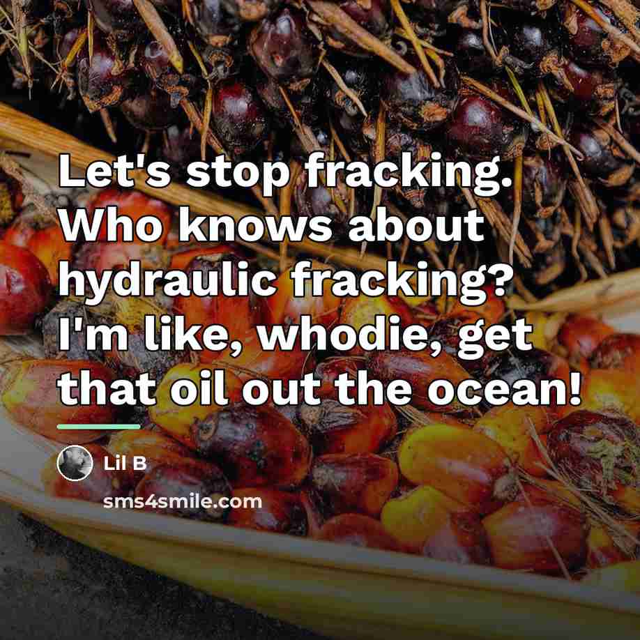 “Let's stop fracking. Who knows about hydraulic fracking? I'm like,…” quote by Lil B