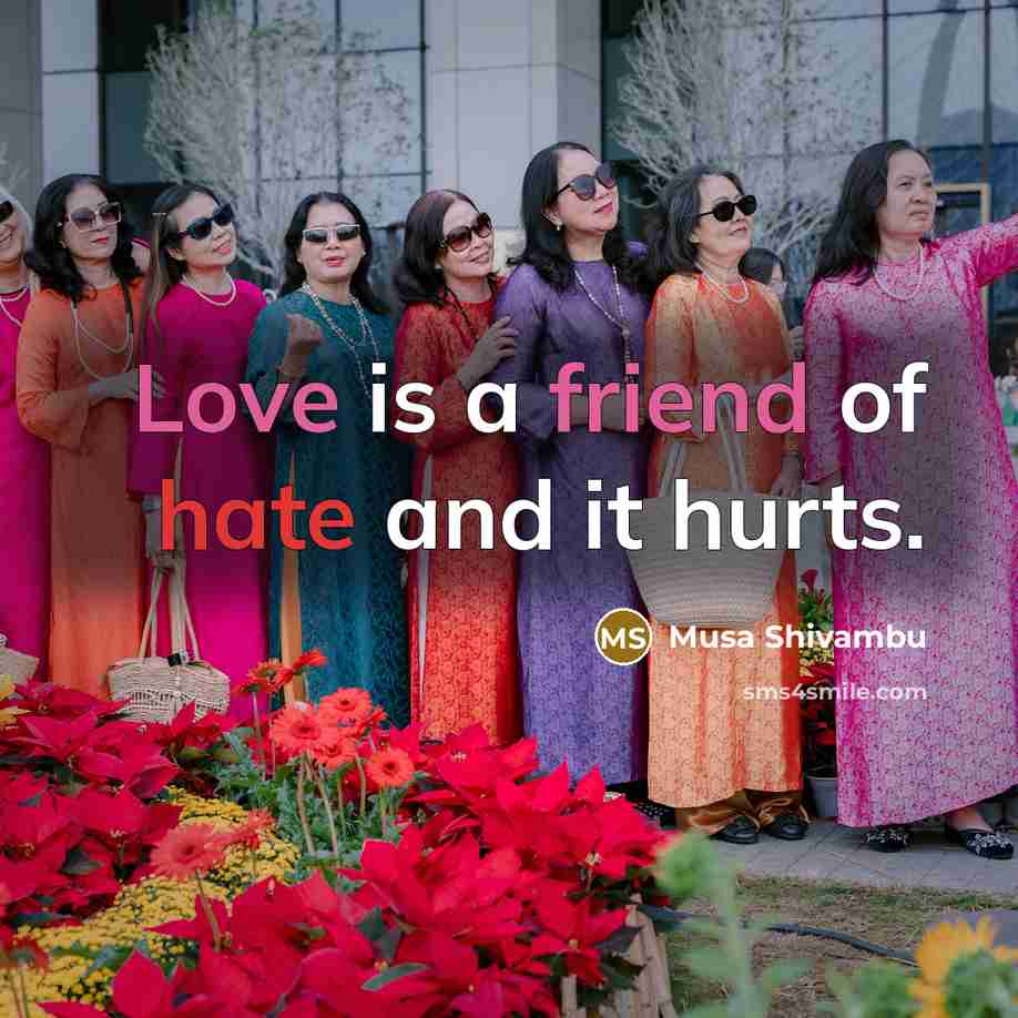 “Love is a friend of hate and it hurts.…” quote by Musa Shivambu