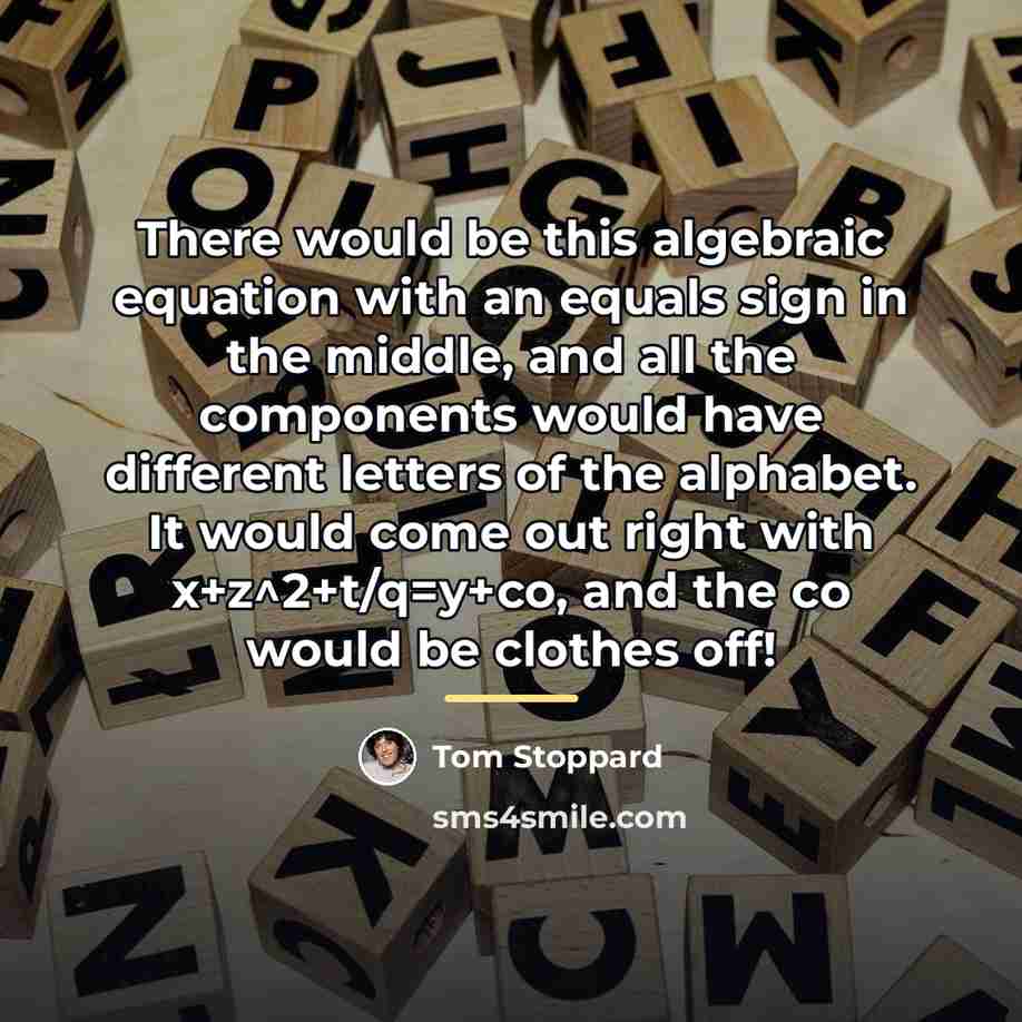 “There would be this algebraic equation with an equals sign…” quote by Tom Stoppard