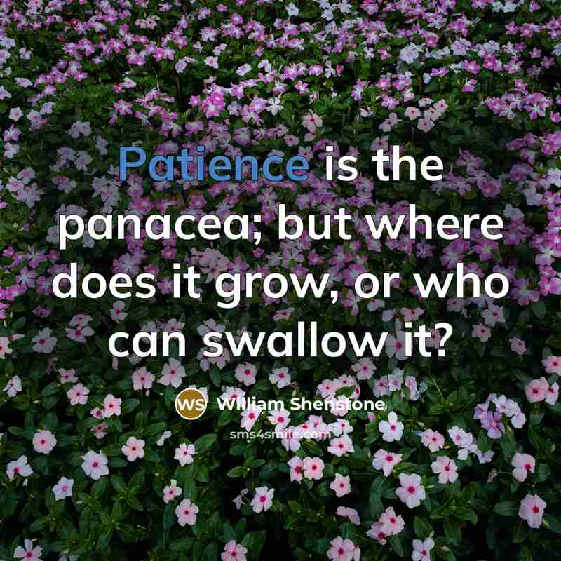“Patience is the panacea; but where does it grow, or…” quote by William Shenstone