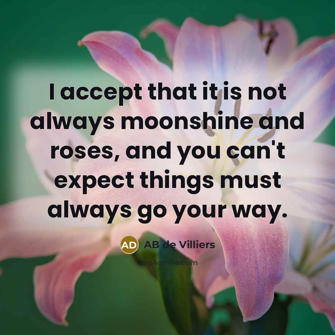 “I accept that it is not always moonshine and roses,…” quote by AB de Villiers
