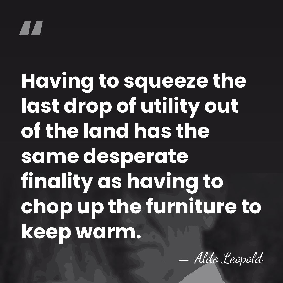 Having to squeeze the last drop of utility out of the land&hellip; - Aldo Leopold