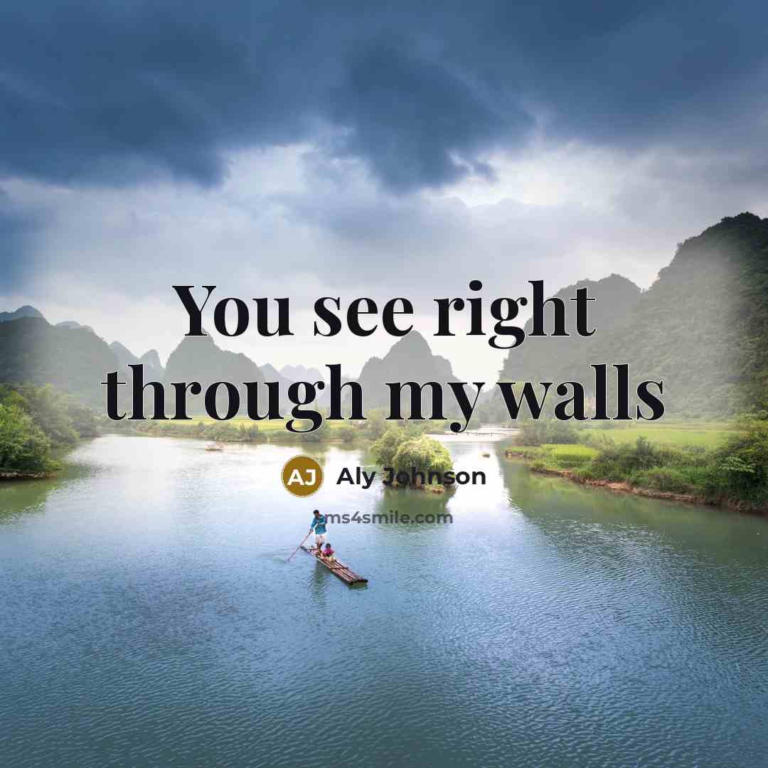 “You see right through my walls…” quote by Aly Johnson