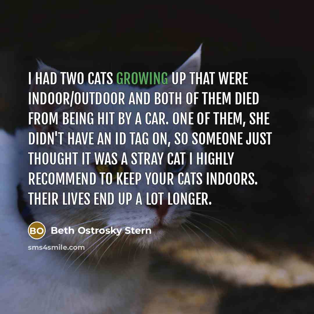 “I had two cats growing up that were indoor/outdoor and…” quote by Beth Ostrosky Stern